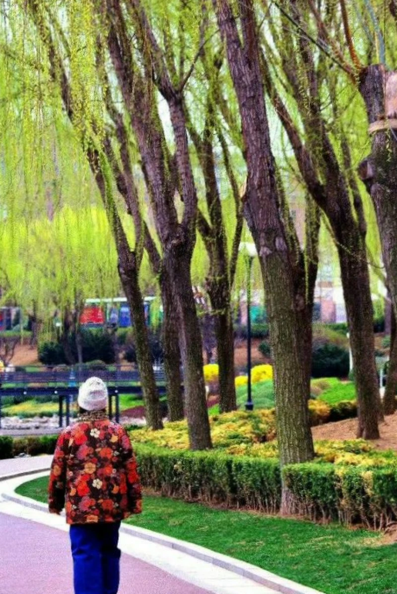 北京市北海公园