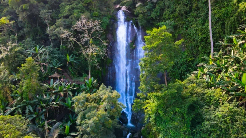 北京市海南百花岭热带雨林文化旅游区